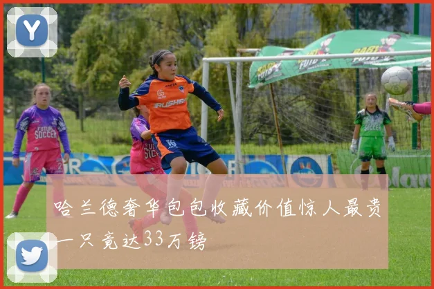 哈兰德奢华包包收藏价值惊人最贵一只竟达33万镑